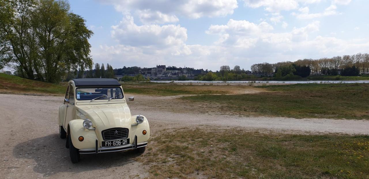 Gite Renaissance Lägenhet Amboise Exteriör bild